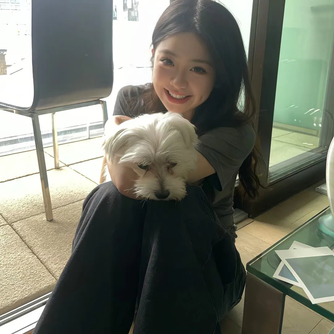 法女情波封面